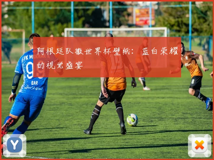 阿根廷队徽世界杯壁纸：蓝白荣耀的视觉盛宴